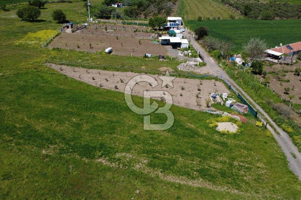 CB Odak’tan Çıtak’ta Yola Cepheli Elektrik-Su Hazır Tarla