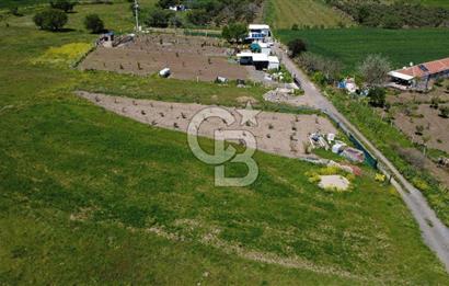 CB Odak’tan Çıtak’ta Yola Cepheli Elektrik-Su Hazır Tarla