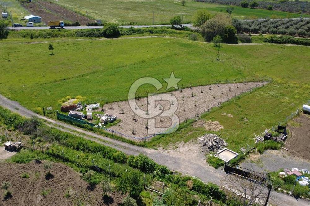 CB Odak’tan Çıtak’ta Yola Cepheli Elektrik-Su Hazır Tarla