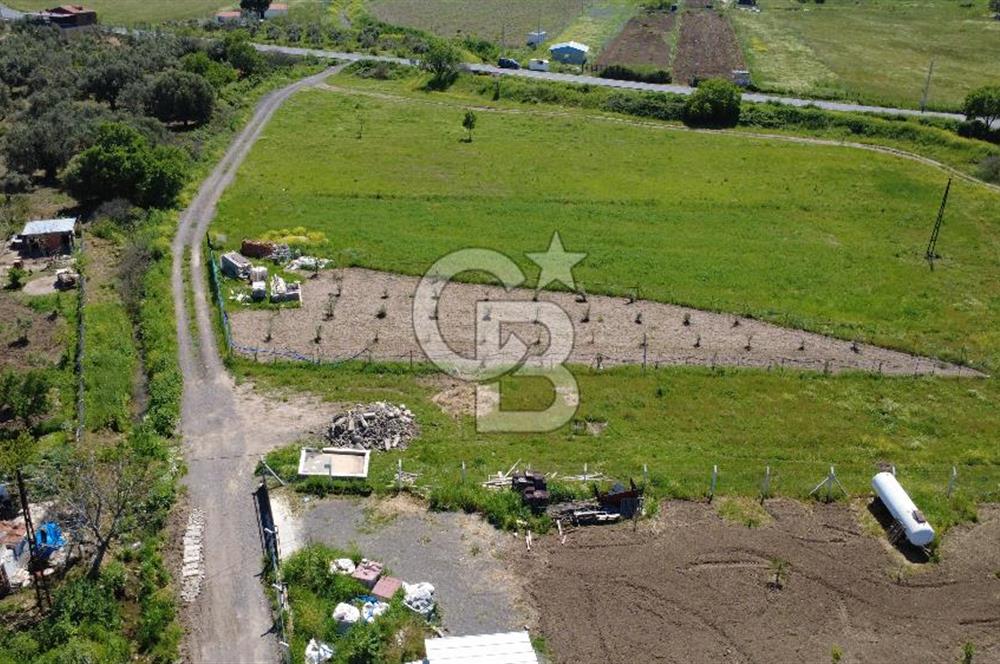 CB Odak’tan Çıtak’ta Yola Cepheli Elektrik-Su Hazır Tarla