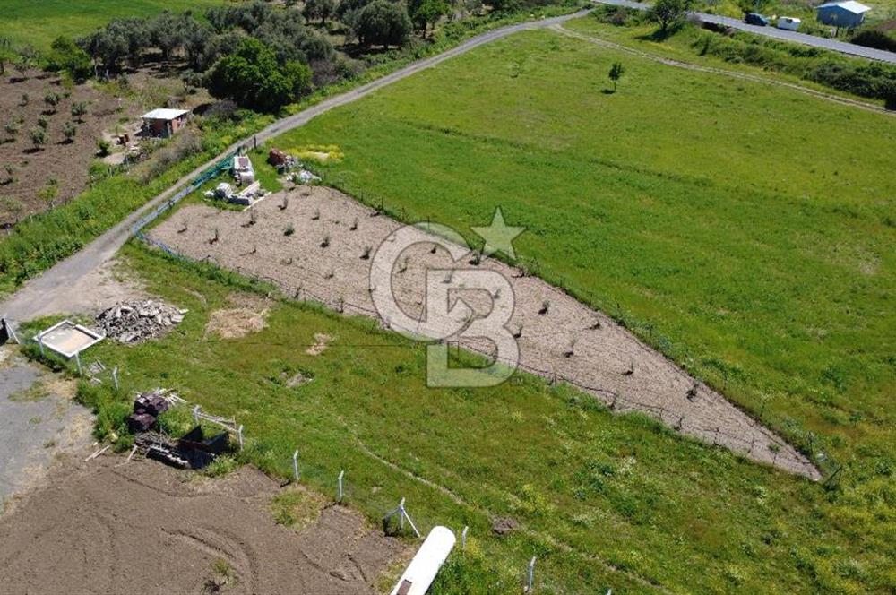 CB Odak’tan Çıtak’ta Yola Cepheli Elektrik-Su Hazır Tarla