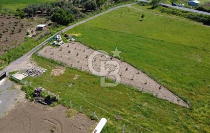 CB Odak’tan Çıtak’ta Yola Cepheli Elektrik-Su Hazır Tarla