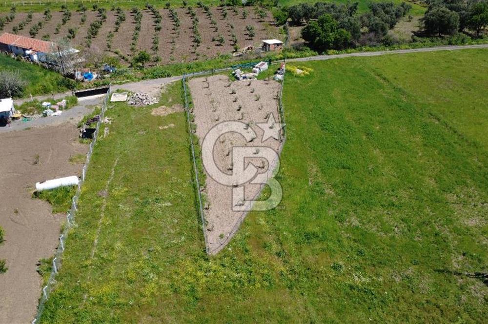 CB Odak’tan Çıtak’ta Yola Cepheli Elektrik-Su Hazır Tarla