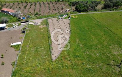 CB Odak’tan Çıtak’ta Yola Cepheli Elektrik-Su Hazır Tarla