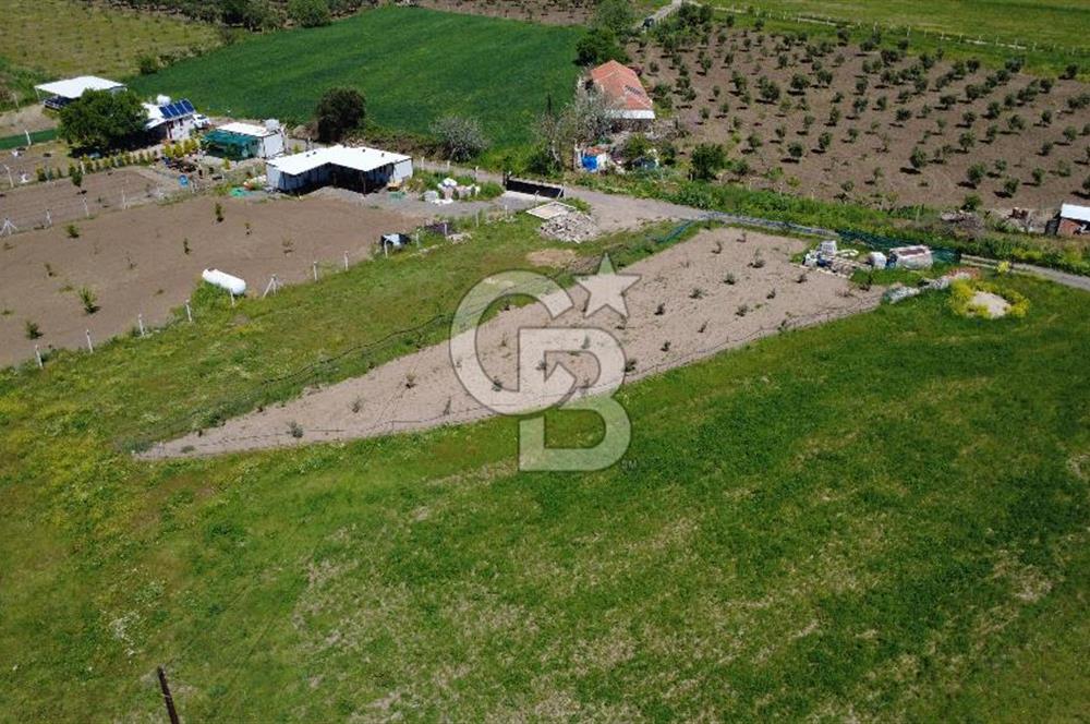 CB Odak’tan Çıtak’ta Yola Cepheli Elektrik-Su Hazır Tarla