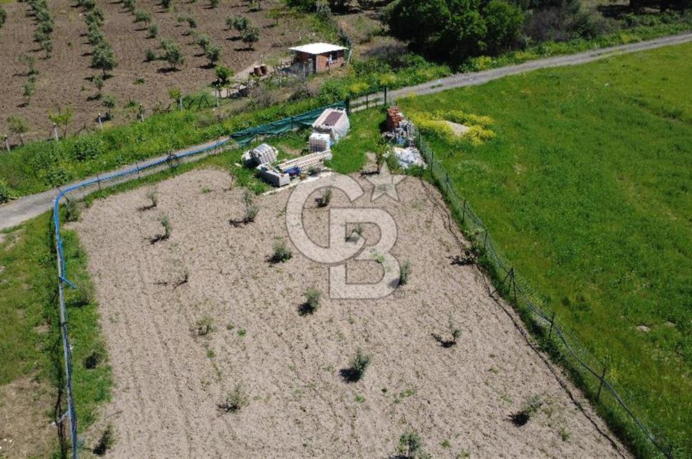 CB Odak’tan Çıtak’ta Yola Cepheli Elektrik-Su Hazır Tarla