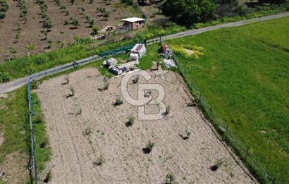 CB Odak’tan Çıtak’ta Yola Cepheli Elektrik-Su Hazır Tarla