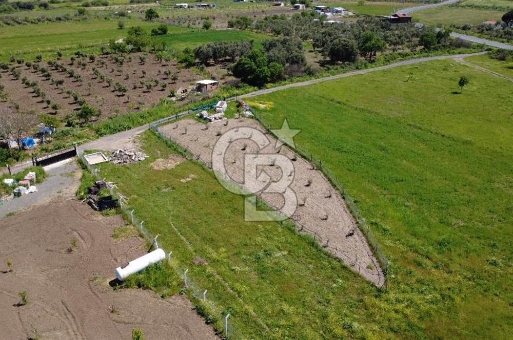 CB Odak’tan Çıtak’ta Yola Cepheli Elektrik-Su Hazır Tarla