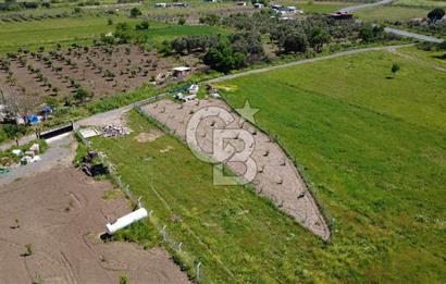 CB Odak’tan Çıtak’ta Yola Cepheli Elektrik-Su Hazır Tarla