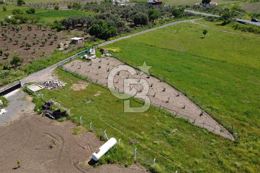 CB Odak’tan Çıtak’ta Yola Cepheli Elektrik-Su Hazır Tarla