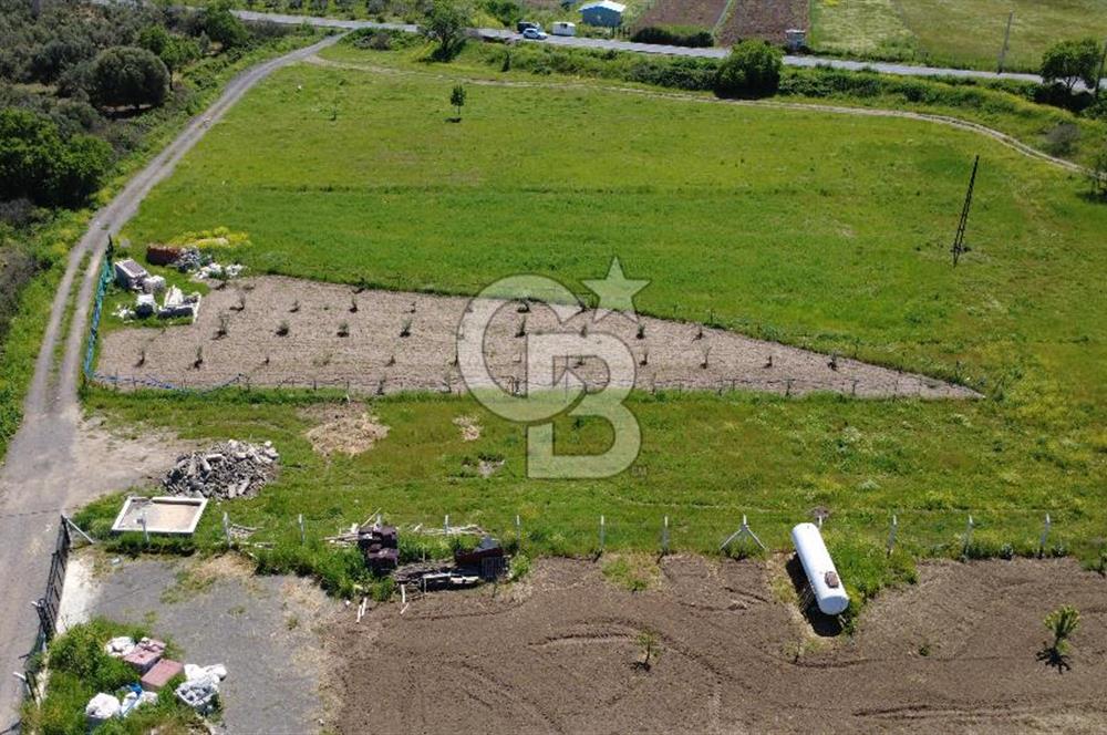 CB Odak’tan Çıtak’ta Yola Cepheli Elektrik-Su Hazır Tarla