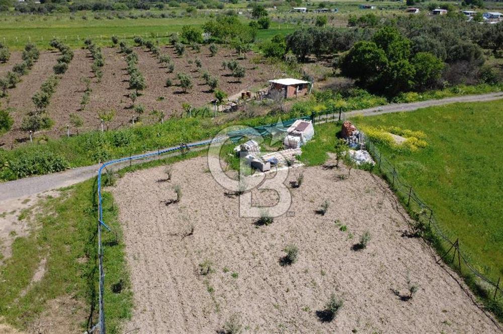 CB Odak’tan Çıtak’ta Yola Cepheli Elektrik-Su Hazır Tarla