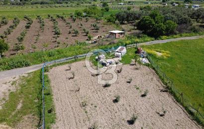 CB Odak’tan Çıtak’ta Yola Cepheli Elektrik-Su Hazır Tarla