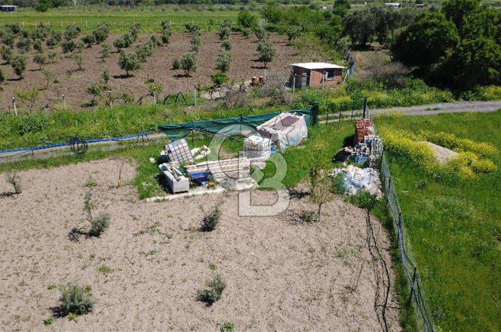 CB Odak’tan Çıtak’ta Yola Cepheli Elektrik-Su Hazır Tarla