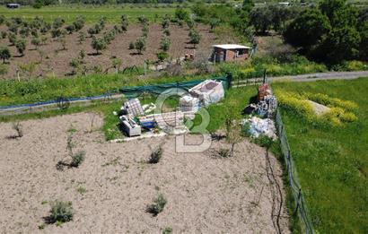 CB Odak’tan Çıtak’ta Yola Cepheli Elektrik-Su Hazır Tarla