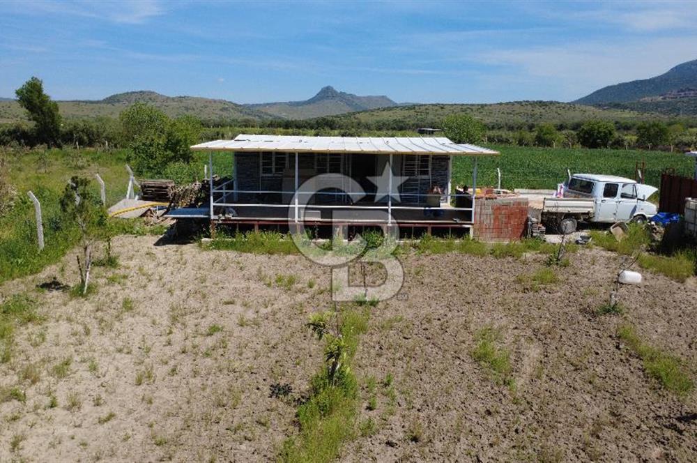 CB ODAK’tan Çıtak’ta Yola Cepheli, Konteyner Evli, Hazır Tarla