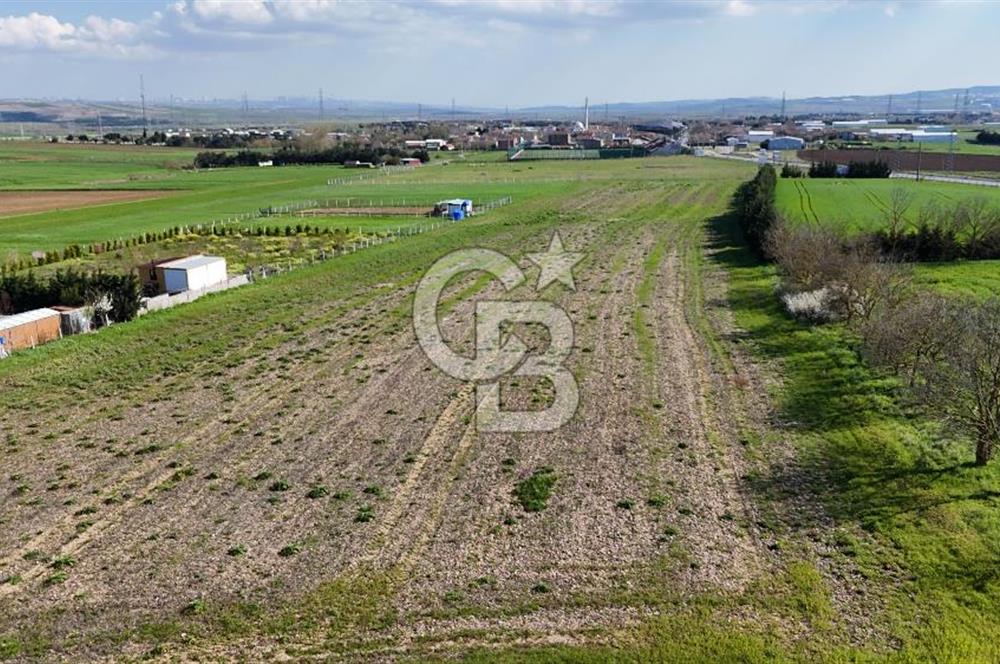 SATILIK ÜNİVESTİSE PROJESİNE KOMŞU YATIRIMLIK 18.474 M2 ARSA