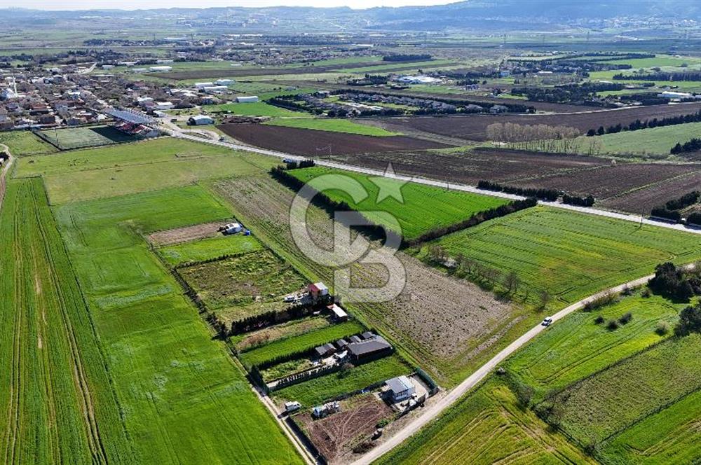 SATILIK ÜNİVESTİSE PROJESİNE KOMŞU YATIRIMLIK 18.474 M2 ARSA