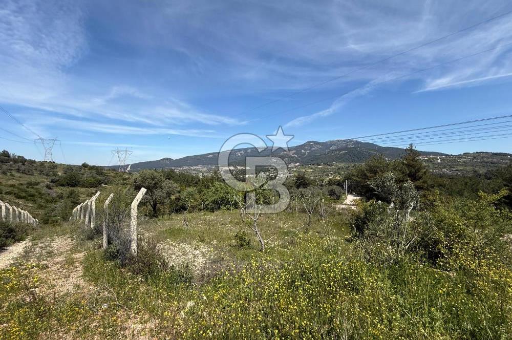 KAYNAKLAR/DOĞANCILAR'DA YOL CEPHELİ ETRAFI ÇEVRİLİ 2 DÖNÜM TARLA