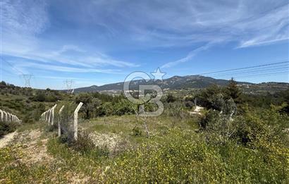 KAYNAKLAR/DOĞANCILAR'DA YOL CEPHELİ ETRAFI ÇEVRİLİ 2 DÖNÜM TARLA