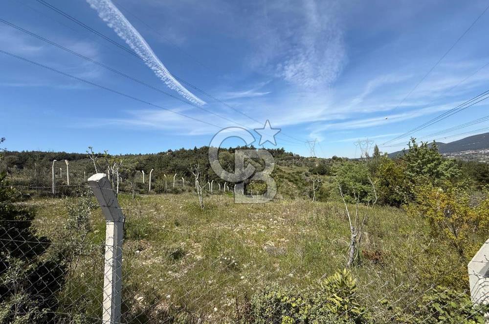 KAYNAKLAR/DOĞANCILAR'DA YOL CEPHELİ ETRAFI ÇEVRİLİ 2 DÖNÜM TARLA