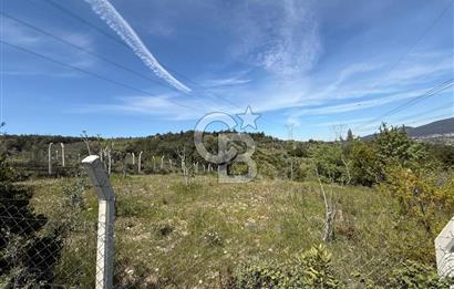 KAYNAKLAR/DOĞANCILAR'DA YOL CEPHELİ ETRAFI ÇEVRİLİ 2 DÖNÜM TARLA