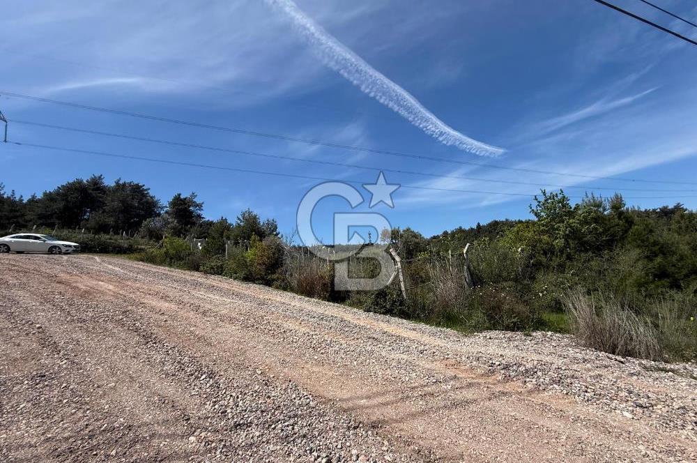 KAYNAKLAR/DOĞANCILAR'DA YOL CEPHELİ ETRAFI ÇEVRİLİ 2 DÖNÜM TARLA