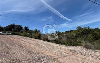 KAYNAKLAR/DOĞANCILAR'DA YOL CEPHELİ ETRAFI ÇEVRİLİ 2 DÖNÜM TARLA