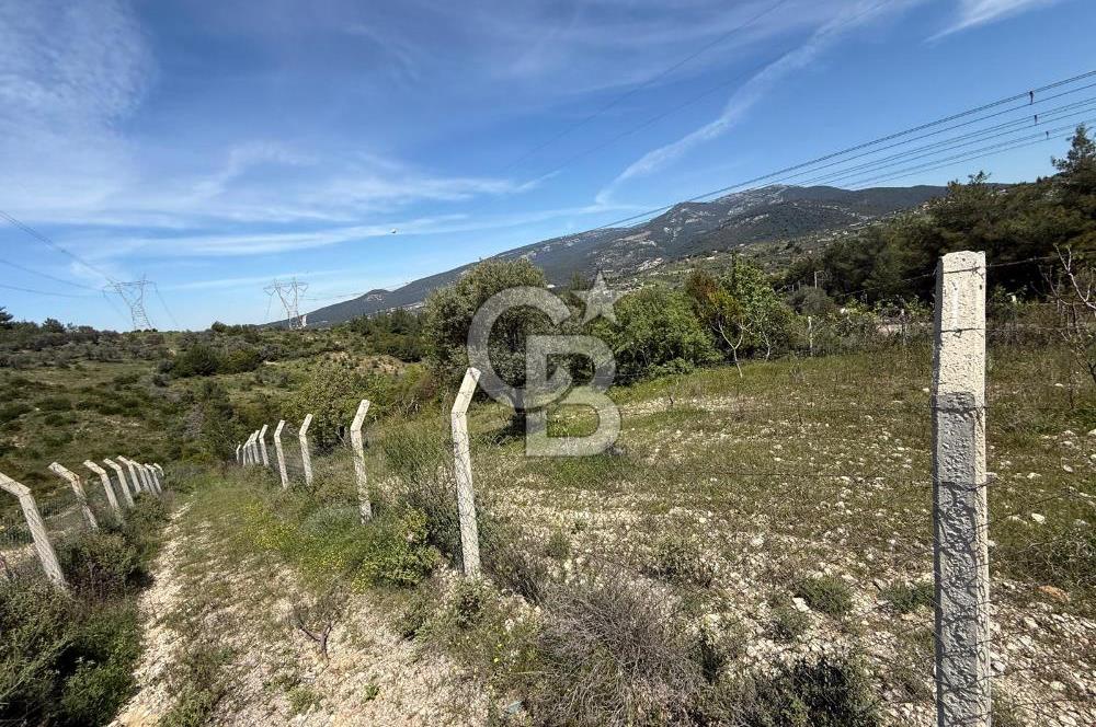 KAYNAKLAR/DOĞANCILAR'DA YOL CEPHELİ ETRAFI ÇEVRİLİ 2 DÖNÜM TARLA