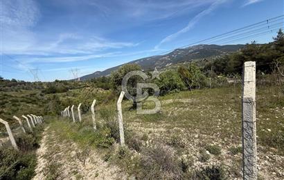 KAYNAKLAR/DOĞANCILAR'DA YOL CEPHELİ ETRAFI ÇEVRİLİ 2 DÖNÜM TARLA
