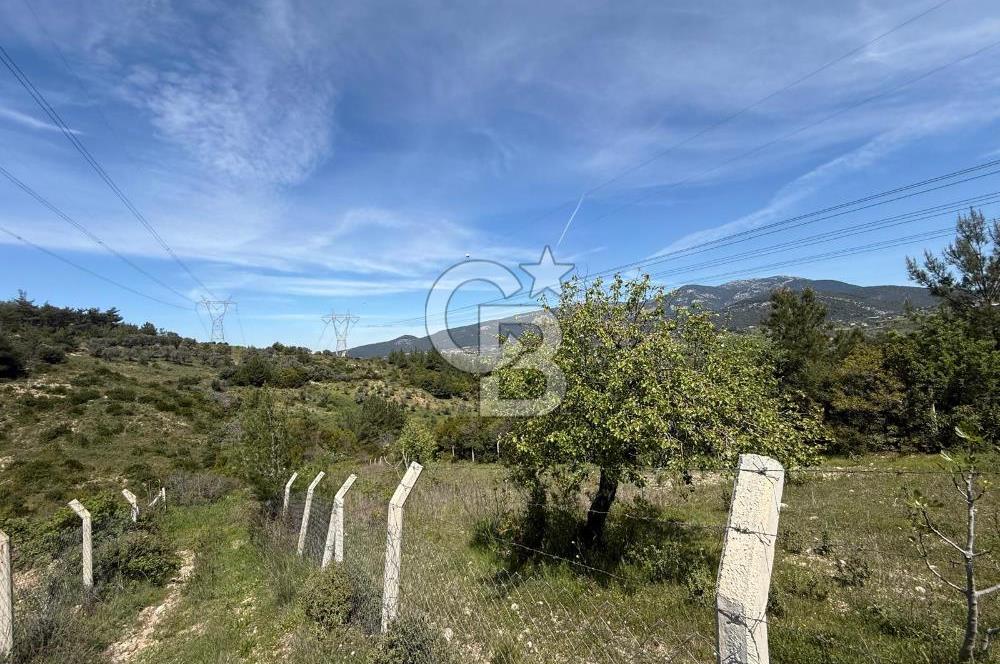 KAYNAKLAR/DOĞANCILAR'DA YOL CEPHELİ ETRAFI ÇEVRİLİ 2 DÖNÜM TARLA