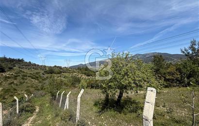 KAYNAKLAR/DOĞANCILAR'DA YOL CEPHELİ ETRAFI ÇEVRİLİ 2 DÖNÜM TARLA