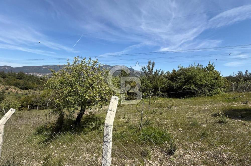 KAYNAKLAR/DOĞANCILAR'DA YOL CEPHELİ ETRAFI ÇEVRİLİ 2 DÖNÜM TARLA