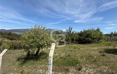 KAYNAKLAR/DOĞANCILAR'DA YOL CEPHELİ ETRAFI ÇEVRİLİ 2 DÖNÜM TARLA