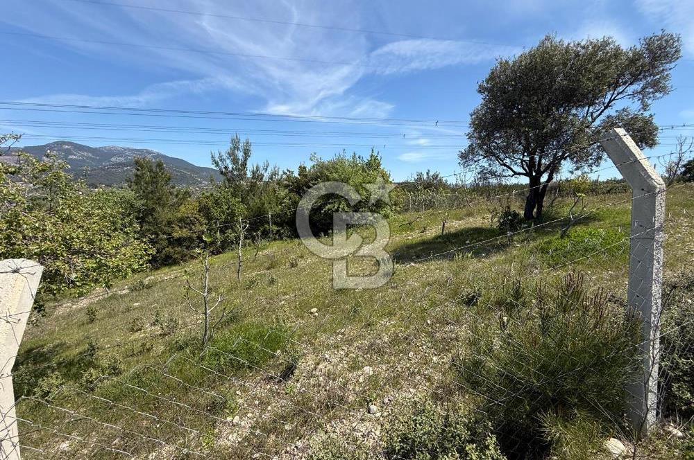 KAYNAKLAR/DOĞANCILAR'DA YOL CEPHELİ ETRAFI ÇEVRİLİ 2 DÖNÜM TARLA