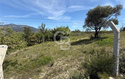 KAYNAKLAR/DOĞANCILAR'DA YOL CEPHELİ ETRAFI ÇEVRİLİ 2 DÖNÜM TARLA