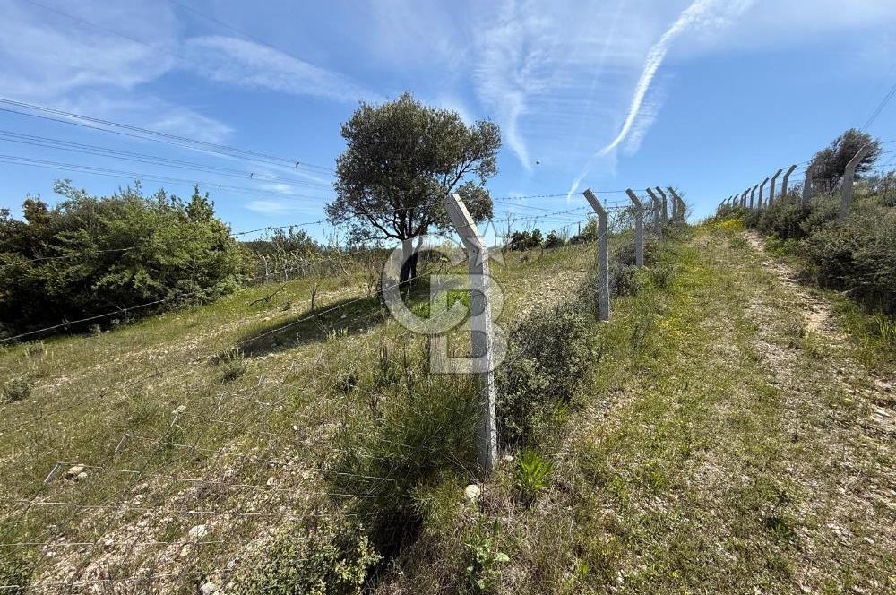 KAYNAKLAR/DOĞANCILAR'DA YOL CEPHELİ ETRAFI ÇEVRİLİ 2 DÖNÜM TARLA