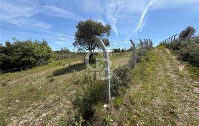 KAYNAKLAR/DOĞANCILAR'DA YOL CEPHELİ ETRAFI ÇEVRİLİ 2 DÖNÜM TARLA