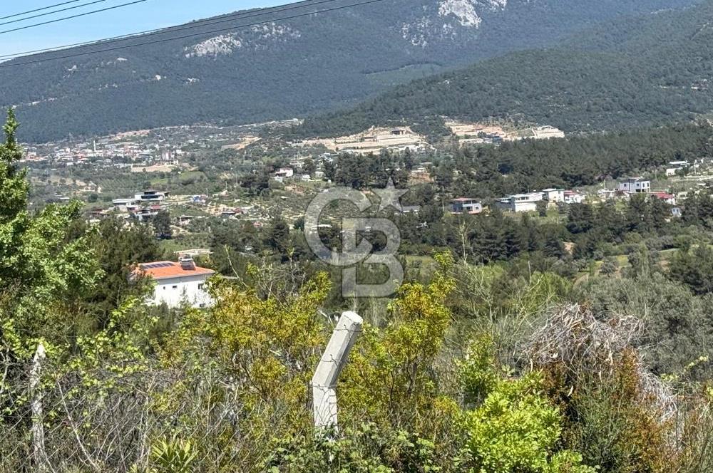 KAYNAKLAR/DOĞANCILAR'DA YOL CEPHELİ ETRAFI ÇEVRİLİ 2 DÖNÜM TARLA