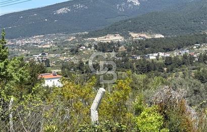 KAYNAKLAR/DOĞANCILAR'DA YOL CEPHELİ ETRAFI ÇEVRİLİ 2 DÖNÜM TARLA