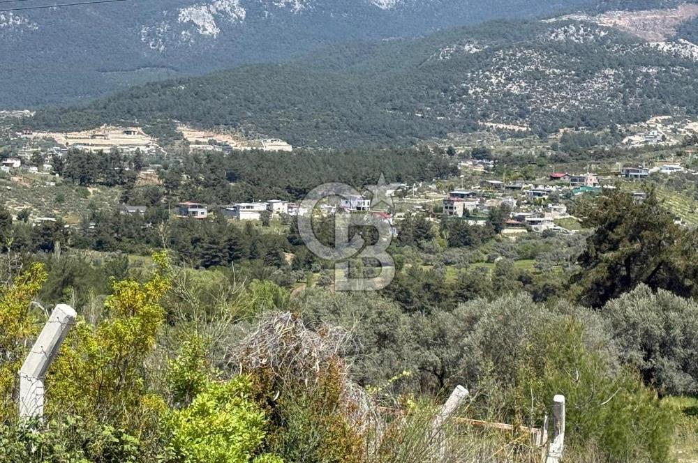 KAYNAKLAR/DOĞANCILAR'DA YOL CEPHELİ ETRAFI ÇEVRİLİ 2 DÖNÜM TARLA