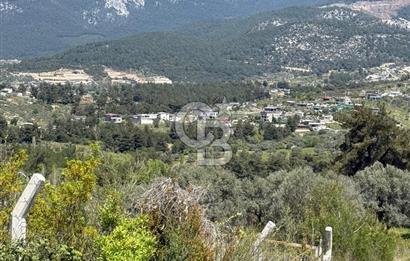 KAYNAKLAR/DOĞANCILAR'DA YOL CEPHELİ ETRAFI ÇEVRİLİ 2 DÖNÜM TARLA