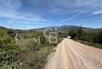 KAYNAKLAR/DOĞANCILAR'DA YOL CEPHELİ ETRAFI ÇEVRİLİ 2 DÖNÜM TARLA - 8 - 345280