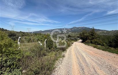 KAYNAKLAR/DOĞANCILAR'DA YOL CEPHELİ ETRAFI ÇEVRİLİ 2 DÖNÜM TARLA