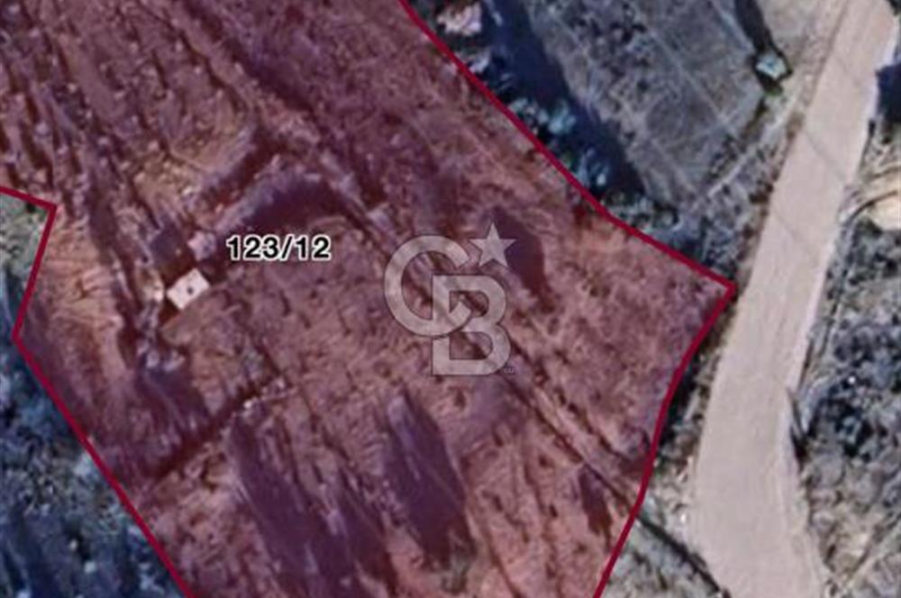 KAYNAKLAR/DOĞANCILAR'DA YOL CEPHELİ ETRAFI ÇEVRİLİ 2 DÖNÜM TARLA