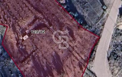 KAYNAKLAR/DOĞANCILAR'DA YOL CEPHELİ ETRAFI ÇEVRİLİ 2 DÖNÜM TARLA