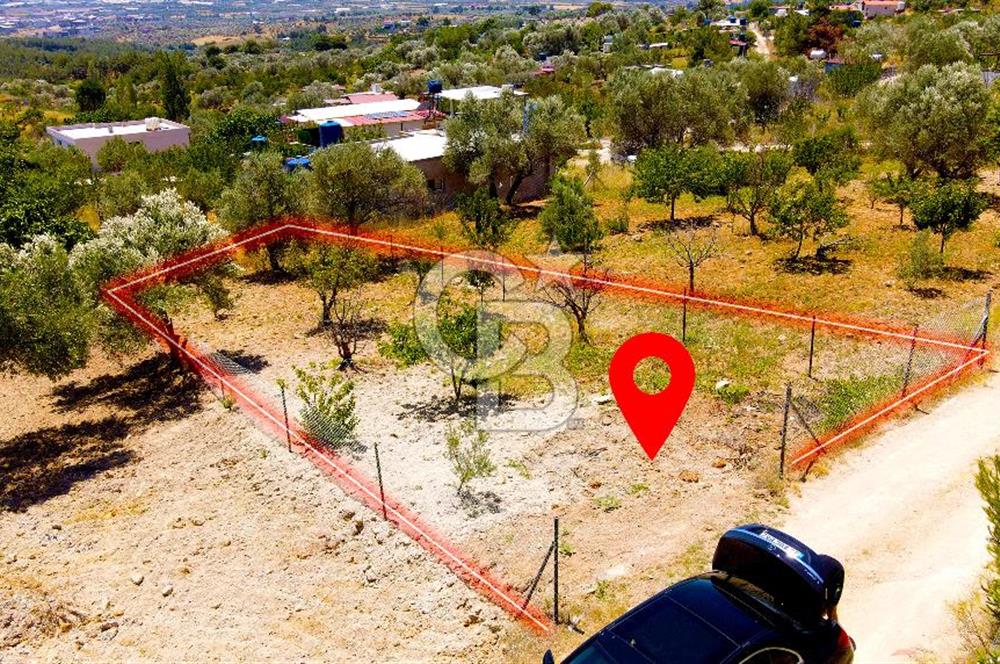 Damlacıkta Asfalta Yakın 2b Tapulu 330m2 Tarla