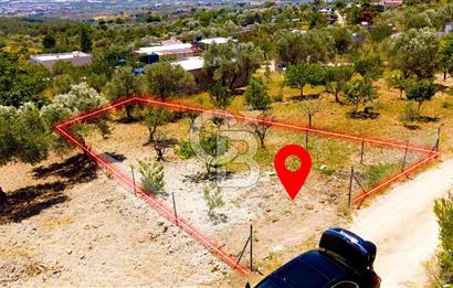 Damlacıkta Asfalta Yakın 2b Tapulu 330m2 Tarla