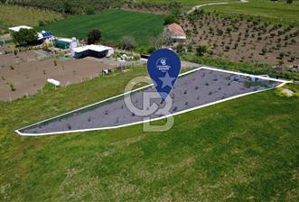 CB Odak’tan Çıtak’ta Yola Cepheli Elektrik-Su Hazır Tarla - 11 - 345291