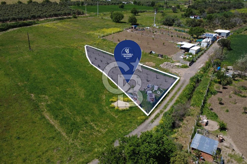 CB Odak’tan Çıtak’ta Yola Cepheli Elektrik-Su Hazır Tarla